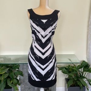 NWT Connected apparel dress 10
